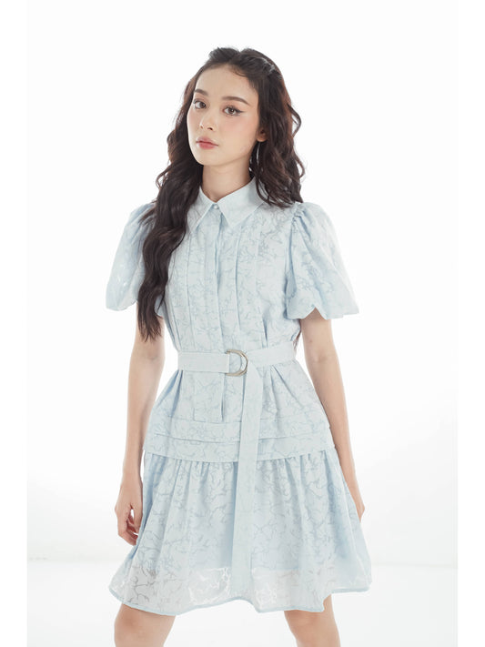 Diarie Dress - Mini Dress Design, Shirt Collar, And Flared Sleeves
