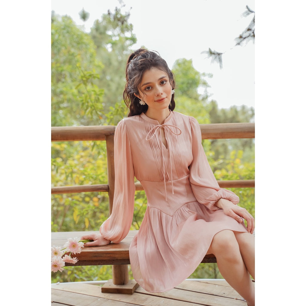 Long Sleeve Short Dress